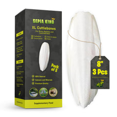Sepia King extra-large cuttlebone in a bird cage supports beak maintenance and calcium intake.