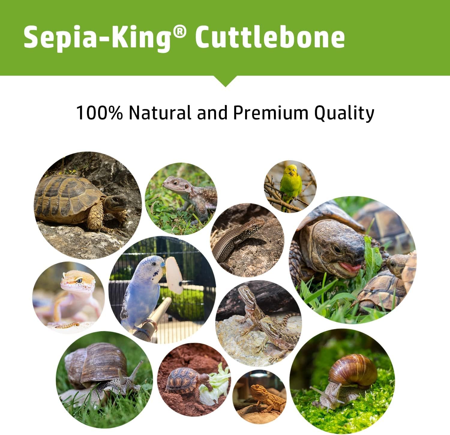 Sepia King pack3 natural cuttlebone provides a versatile calcium supplement for pets.