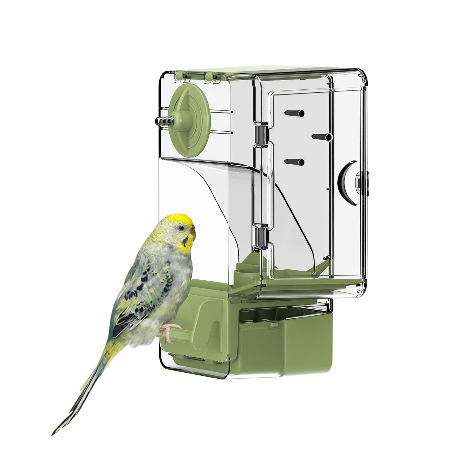 Septillar automatic feeder exterior view green shows a tidy, cage-friendly design for busy birdrooms.