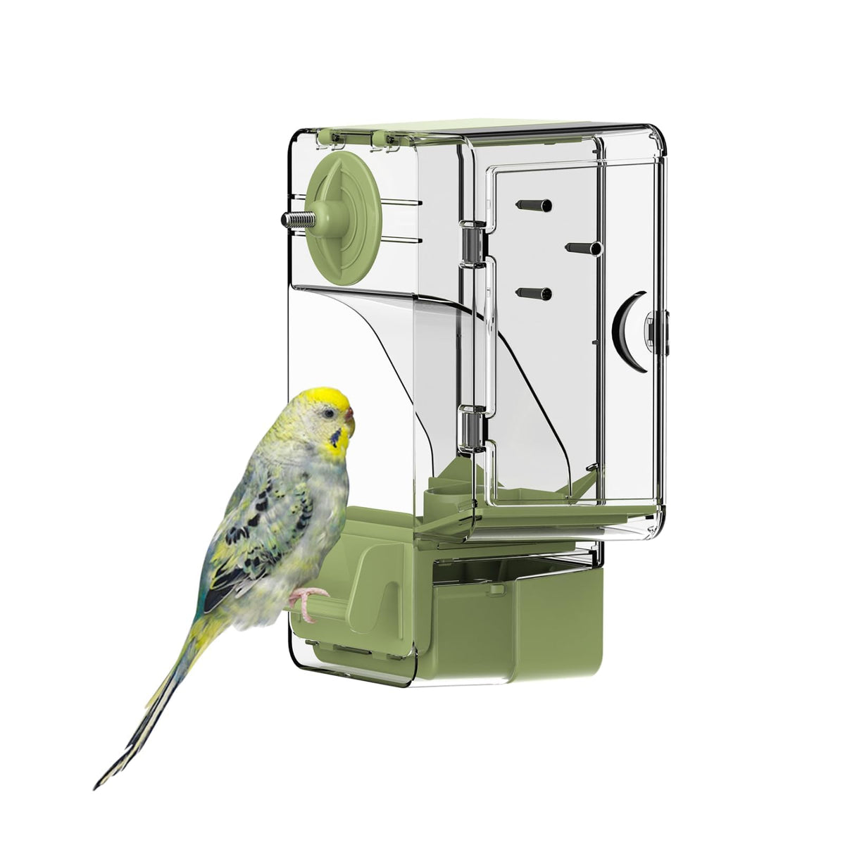 Septillar automatic feeder exterior view green shows a tidy, cage-friendly design for busy birdrooms.