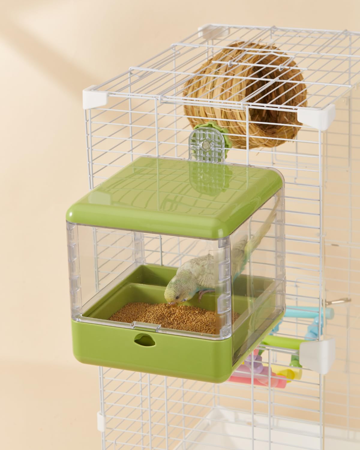 Septillar ideal para aves pequenas y medianas – compatible con varias especies