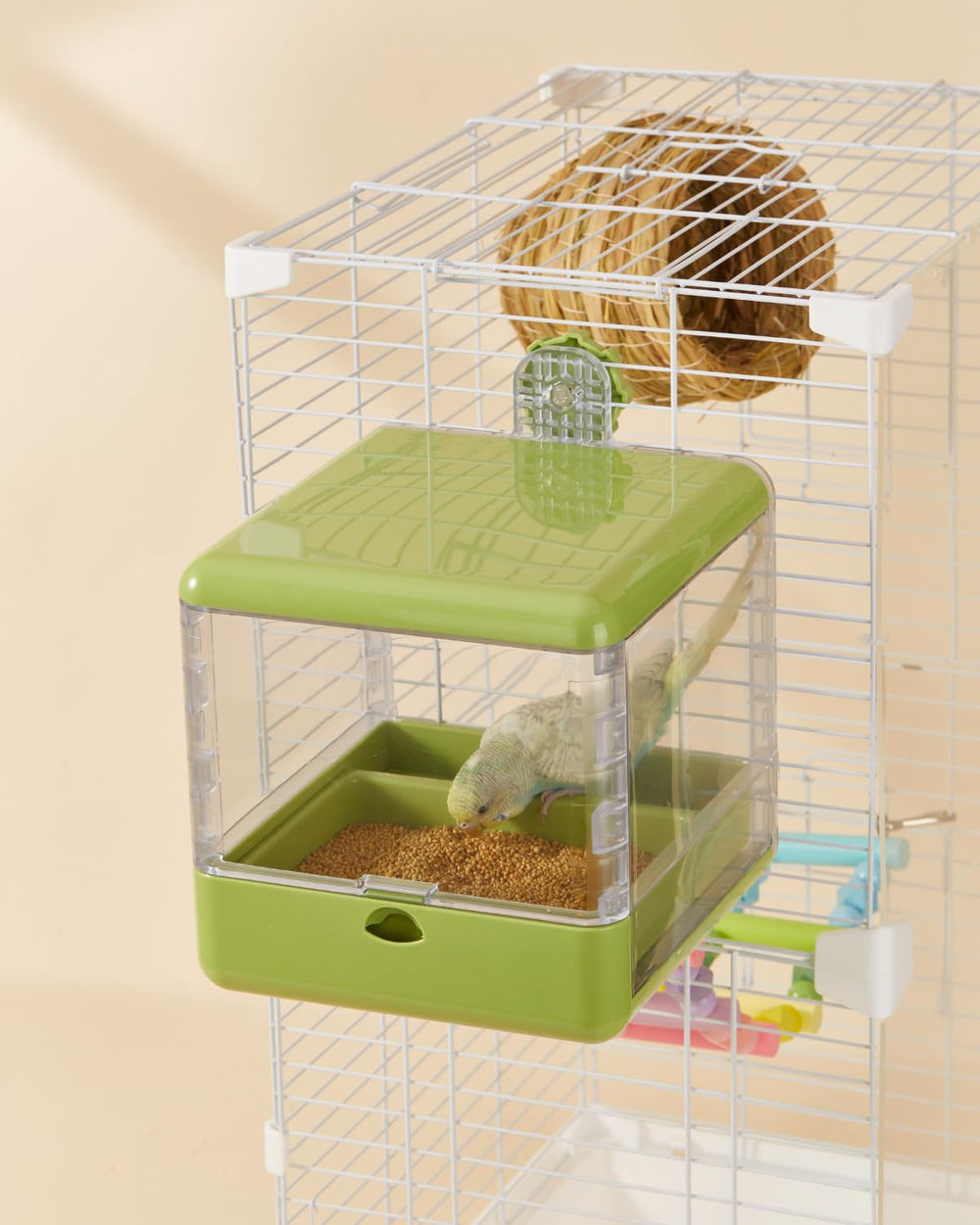 Septillar ideal para aves pequenas y medianas – compatible con varias especies