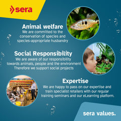 Sera Vipan Tropical Flakes XL in aquarium view demonstrates natural nutrition supporting growth