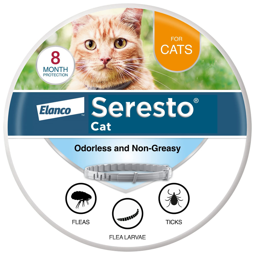 Seresto cat collar on cat neck showing long-lasting protection for fleas and ticks.