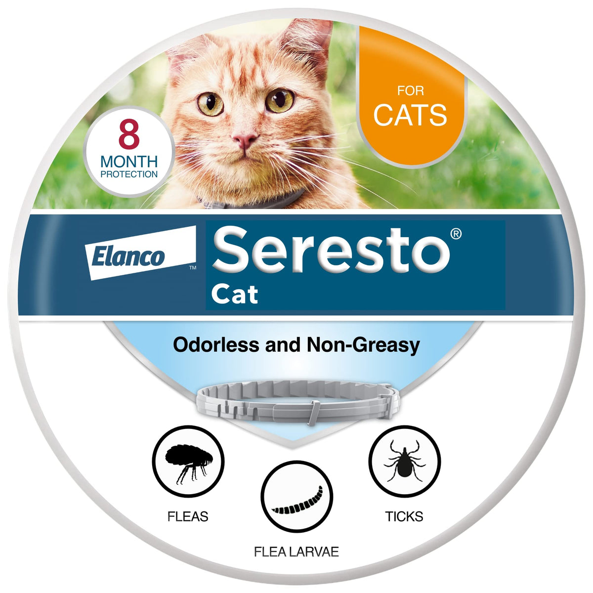 Seresto cat collar on cat neck showing long-lasting protection for fleas and ticks.