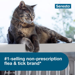 Cat wearing Seresto collar during outdoor play with continuous protection visible.
