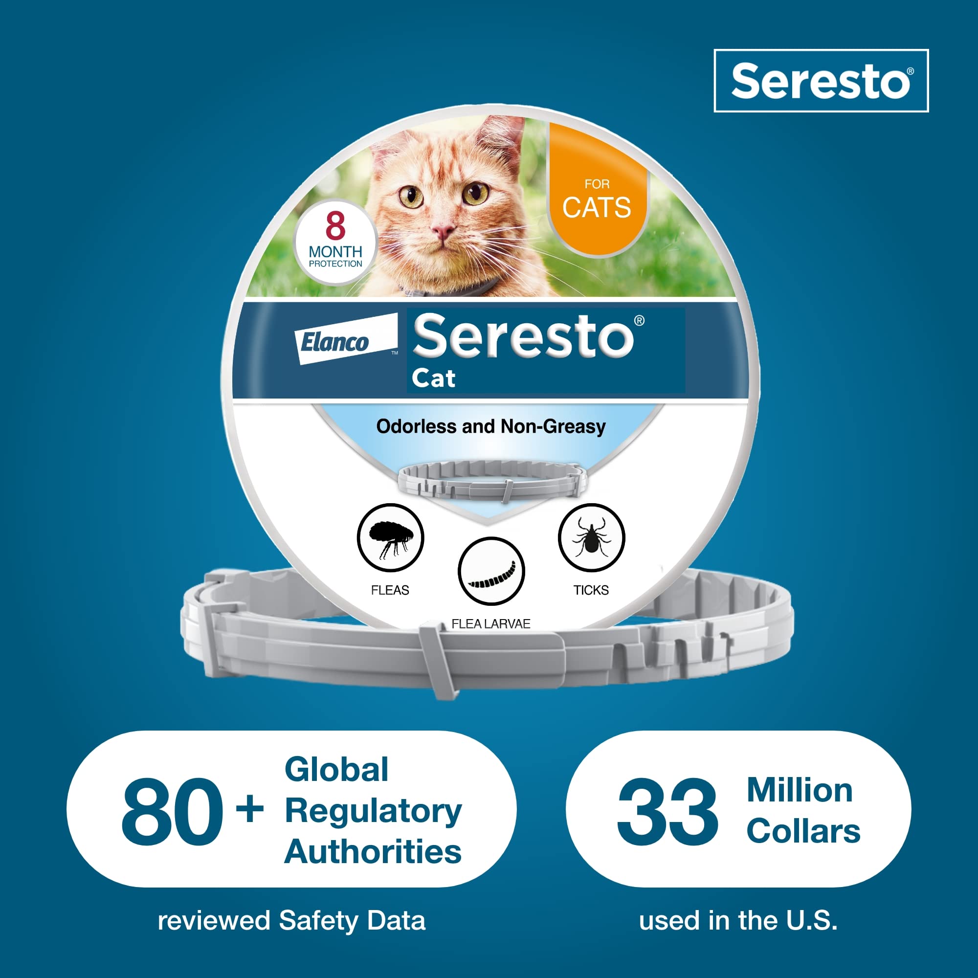 Kittens 10 weeks old wearing Seresto collar for comfortable protection.