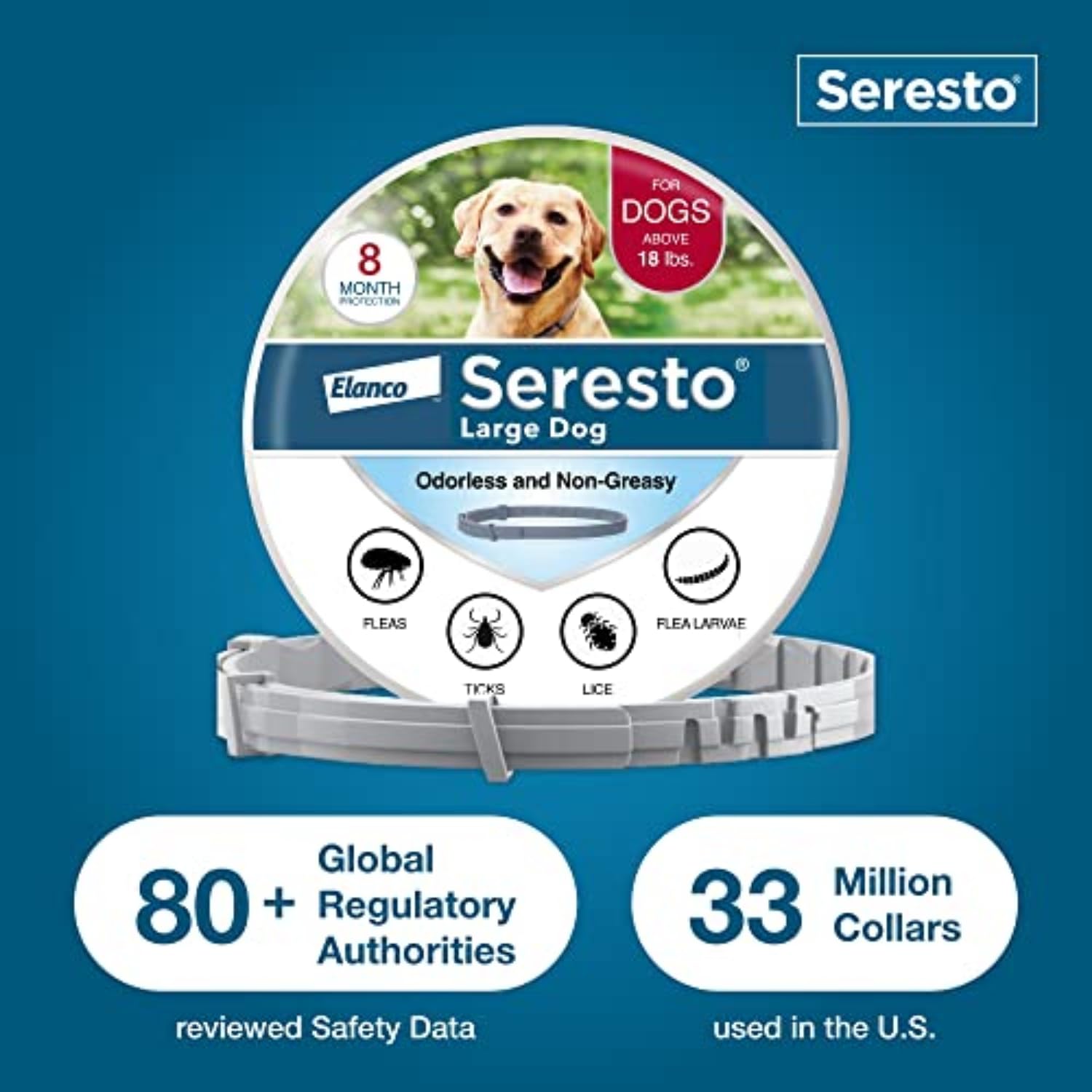 Seresto collar being snapped into place shows easy application.
