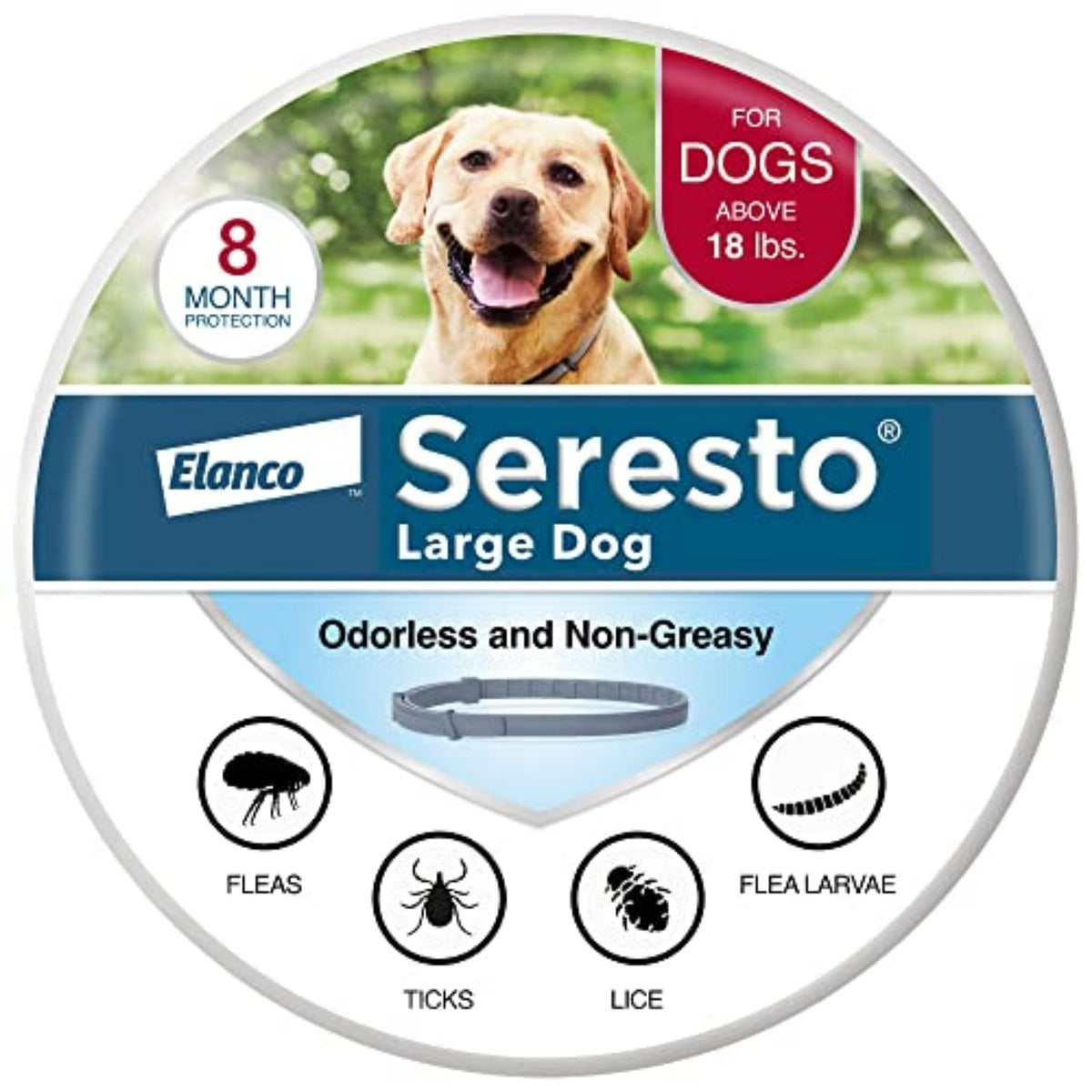 Seresto large dog collar on a calm dog shows long-lasting protection.