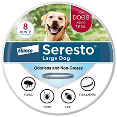 Seresto large dog collar on a calm dog shows long-lasting protection.