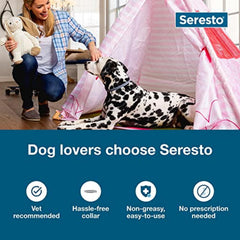 Seresto collar on a dog during a walk provides continuous flea and tick protection.
