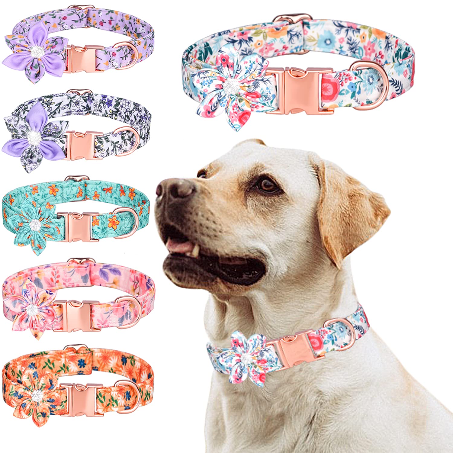 Serijoars detachable rhinestone flower collar for special occasions.