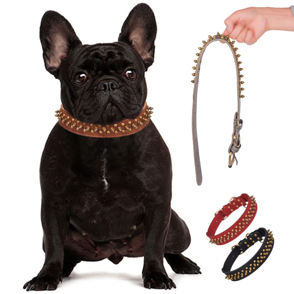 Close-up of Serijoars spiked dog collar buckle for secure adjustable fit.