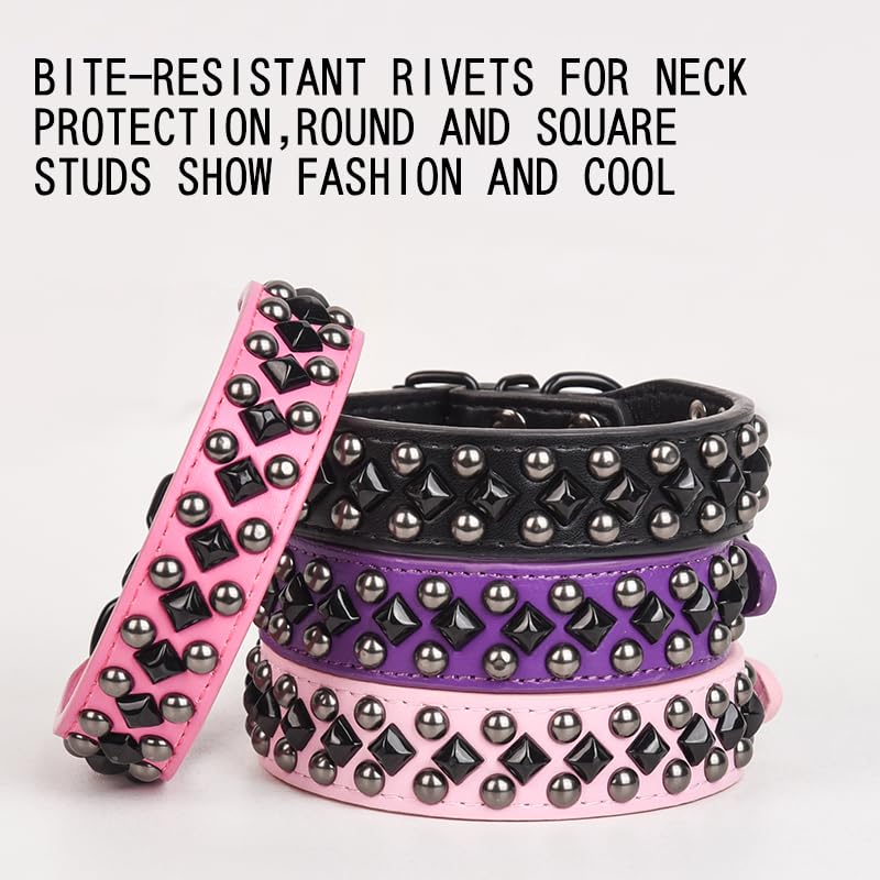 Serijoars Spiked dog collar pink on a dog for everyday adventures