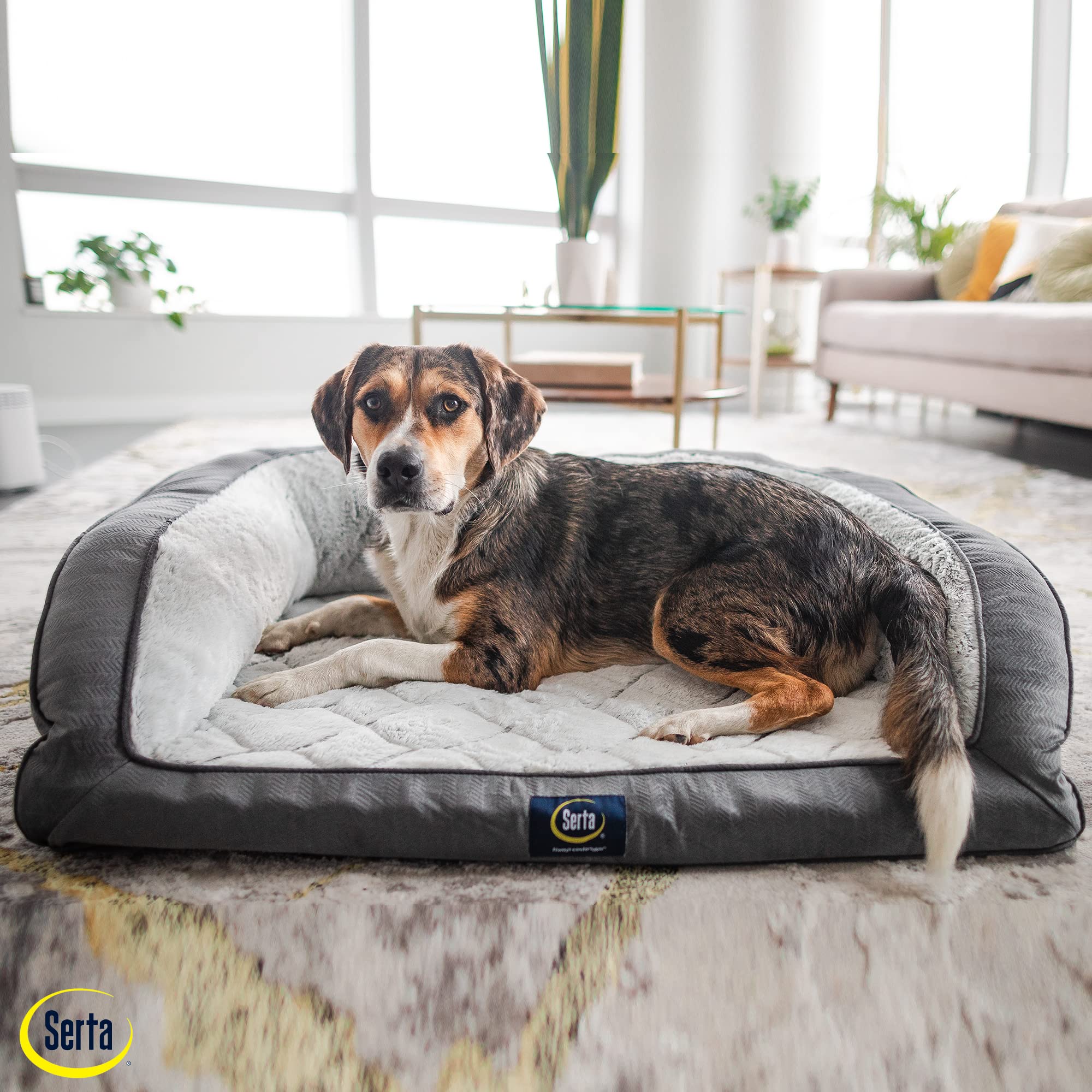 Serta Removable Zippered Cover enables easy machine washing for quick cleanup.
