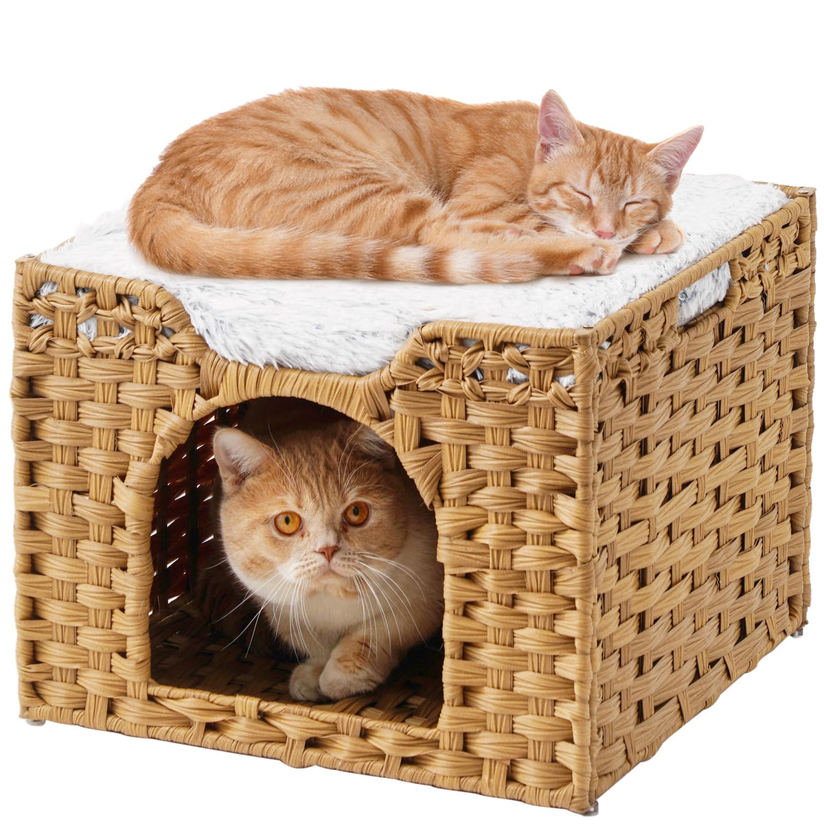 SETVSON cat bed cave assembly showing sturdy frame and quick setup benefits