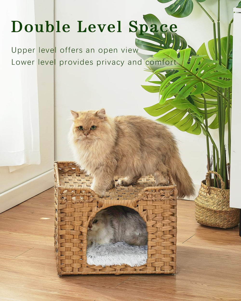 SETVSON cat bed cave structure highlighting spacious private den for cats