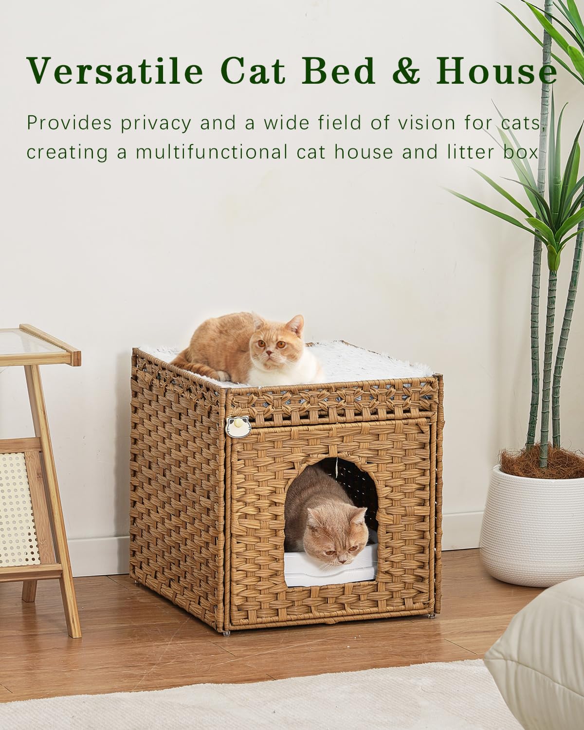 SETVSON natural cat bed folds flat for discreet living room storage.