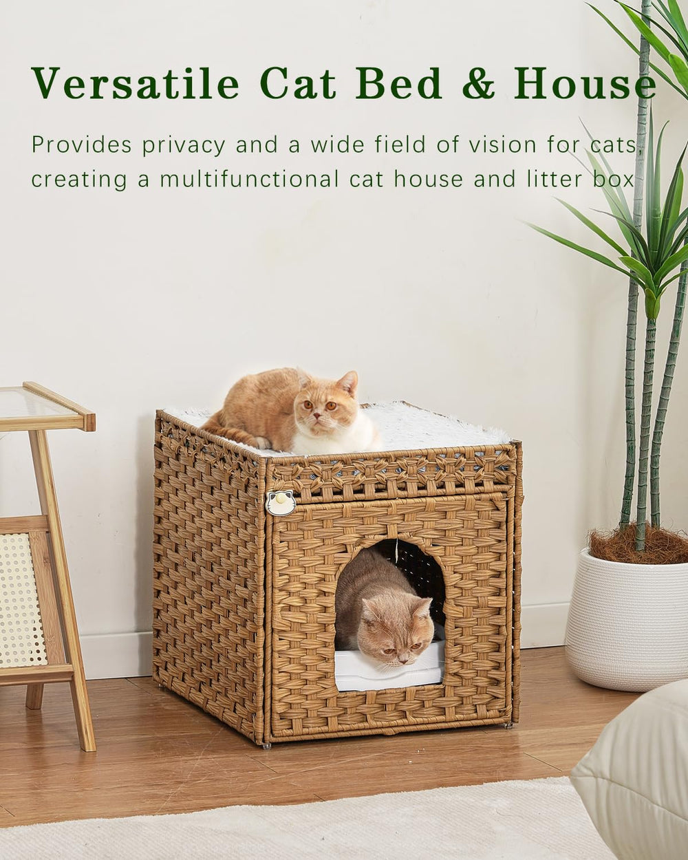 SETVSON natural cat bed folds flat for discreet living room storage.