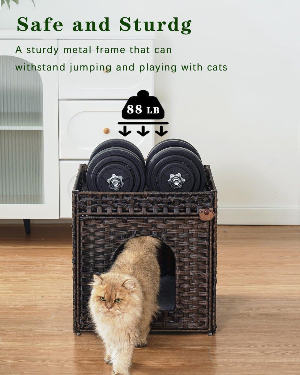 SETVSON interior-space cat bed highlights spacious inside for two adult cats