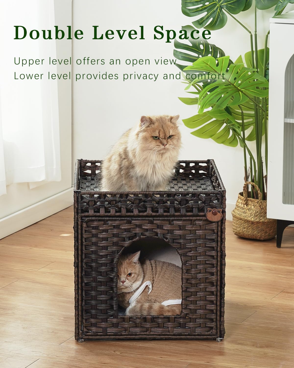 SETVSON cat house top view in brown showcases elevated vantage for curious cats