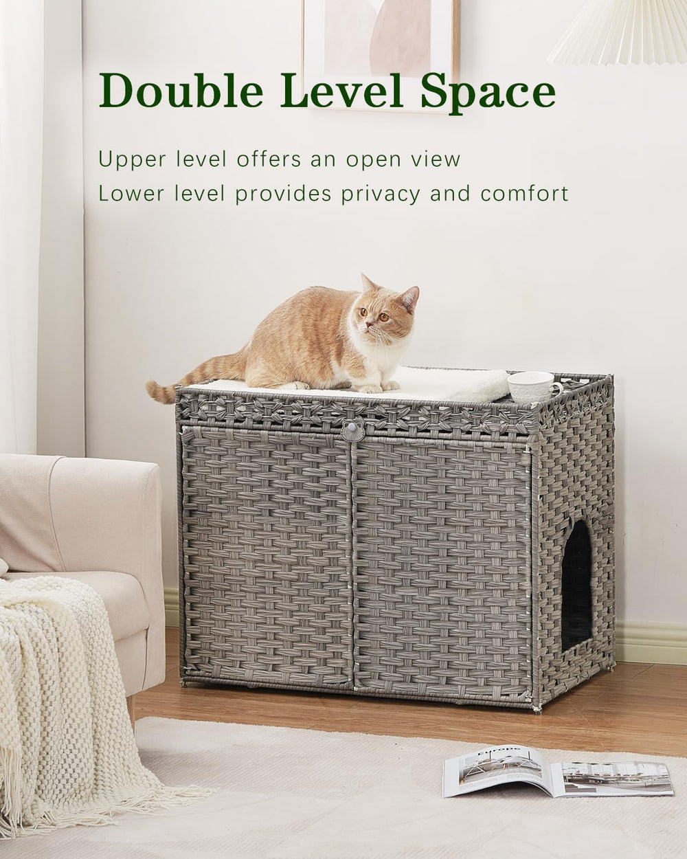 SETVSON enclosure interior showing spacious space for large litter boxes