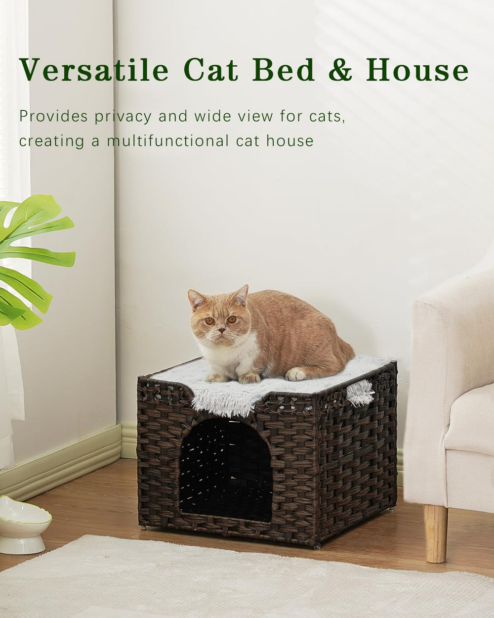 SETVSON easy-assembly-foldable-cat-bed demonstrates quick setup and portable design.