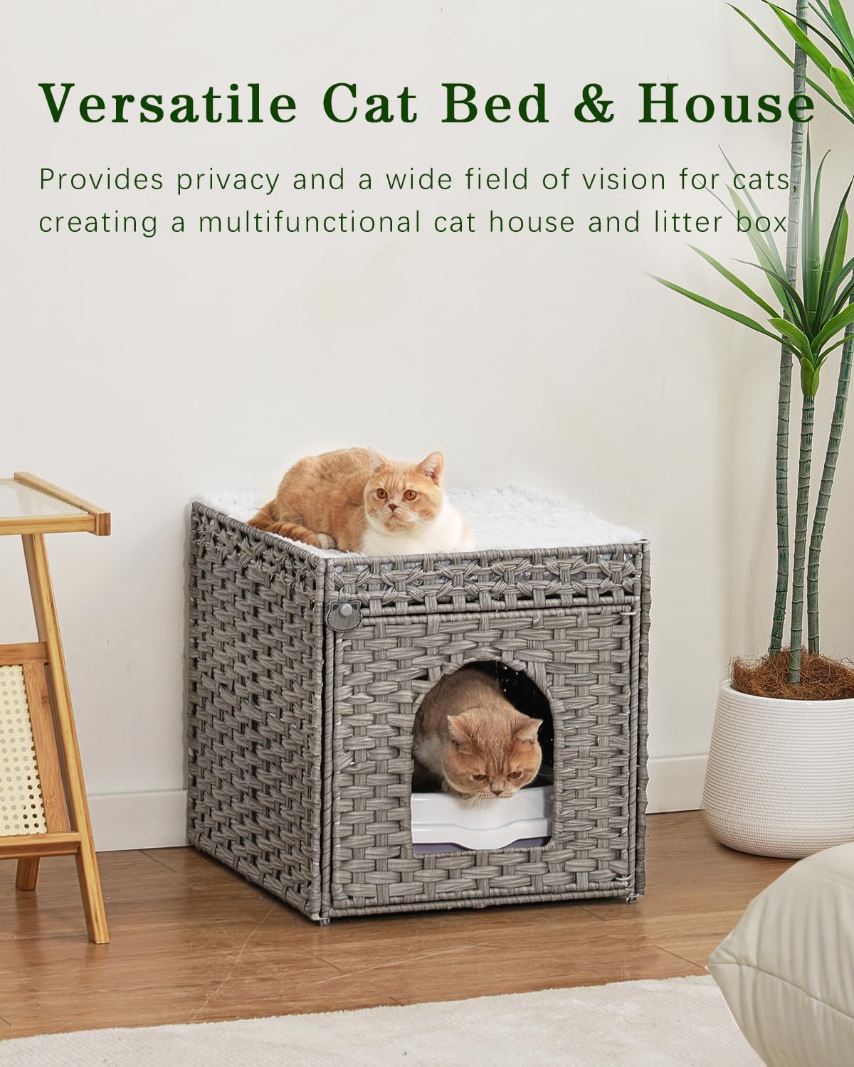 SETVSON living-room ready cat bed offers stylish soft retreat