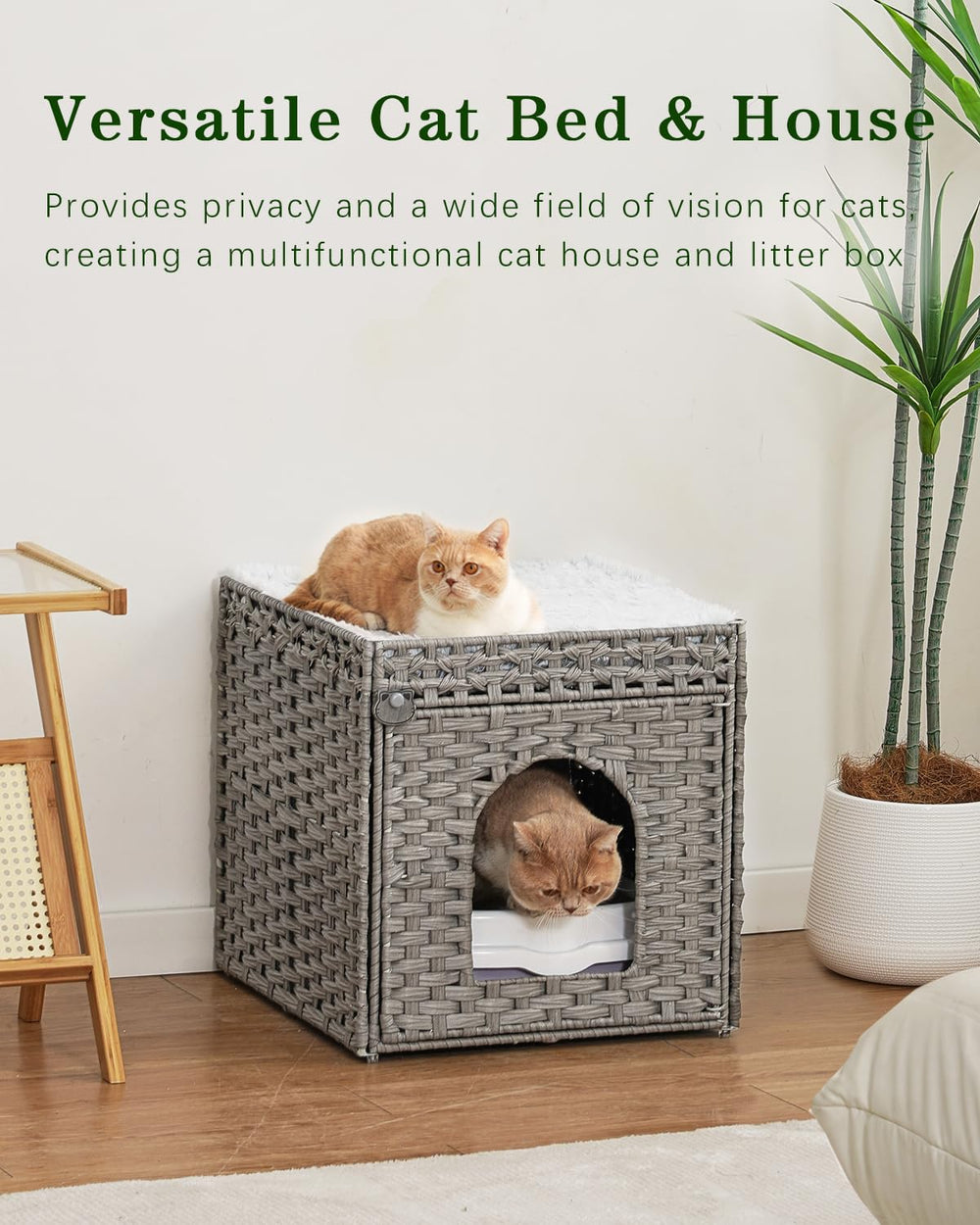 SETVSON living-room ready cat bed offers stylish soft retreat