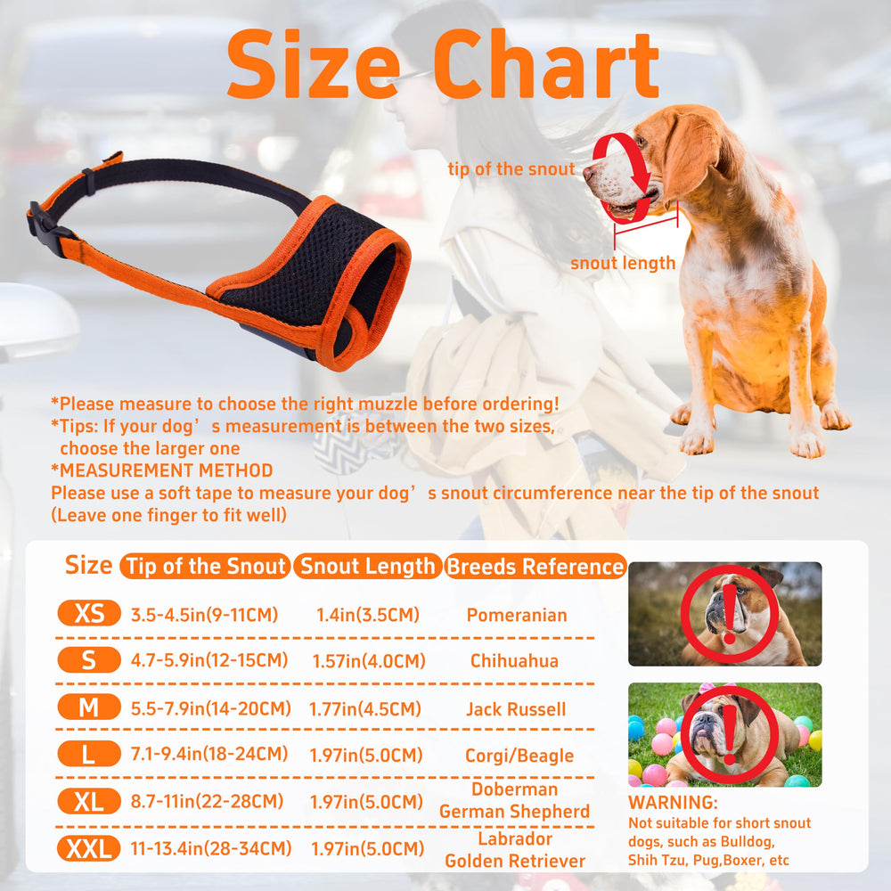 Seyezo adjustable buckle Velcro fit demonstrates customizable sizing for breeds
