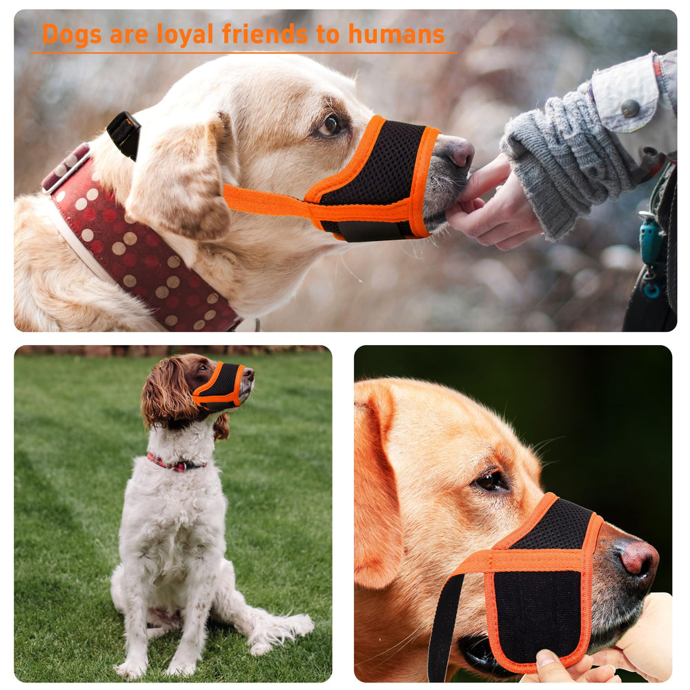 Seyezo durable chew-resistant muzzle protects gear during walks and training