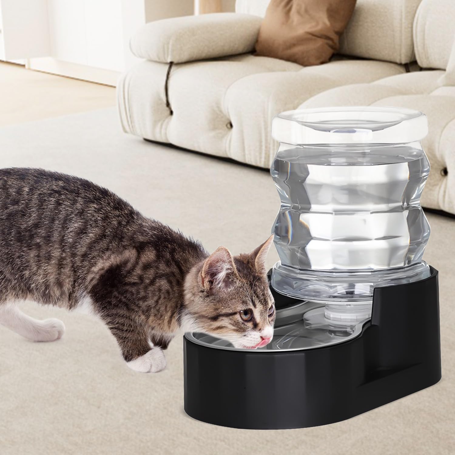 Sfozstra 304 stainless steel bowl promotes hygienic water for pets and easy cleaning