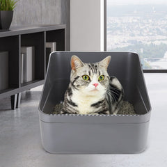 Sfozstra Cats Litter Box Low kitten up to 8 lbs fits your pet.