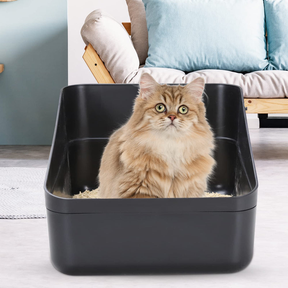 Sfozstra open-top litter box cat use shows easy access.