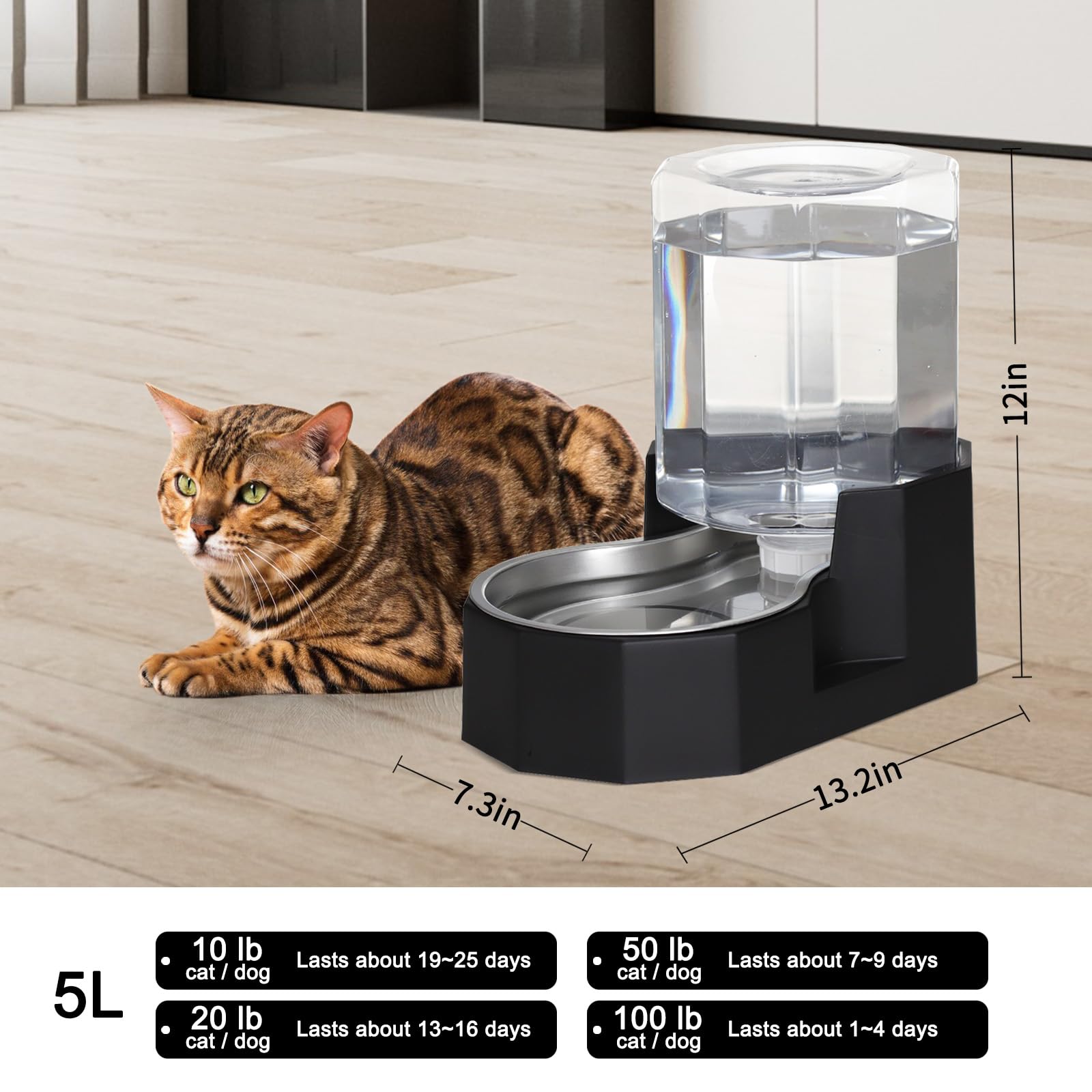 Sfozstra stainless steel water bowl, odorless and rust-resistant for daily use.