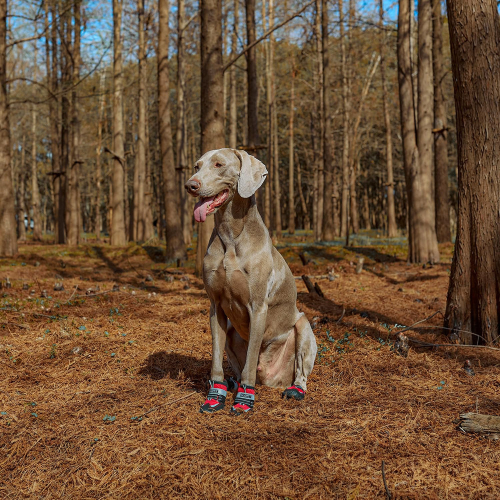 SGSPET Dog Boots adjustable straps highlight secure fit and easy on off