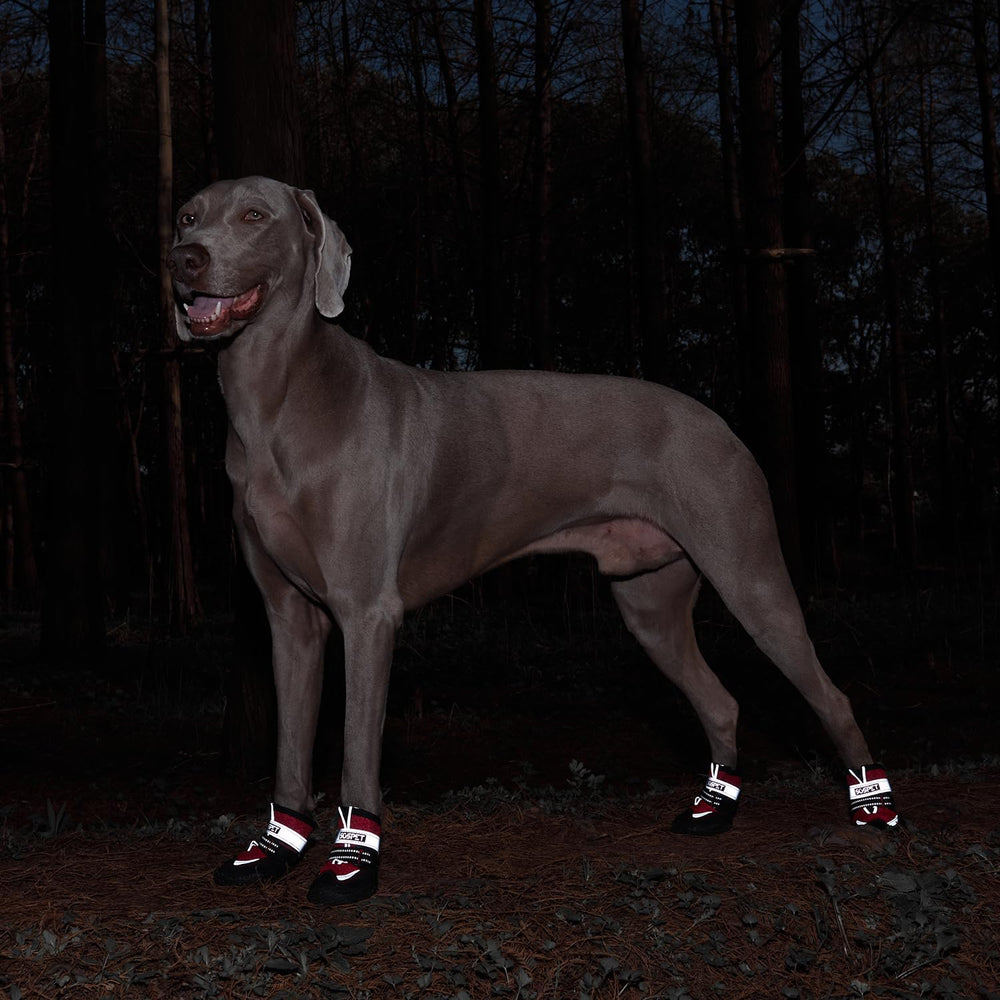 SGSPET Dog Boots expandable v shaped tongue ensures comfortable fit