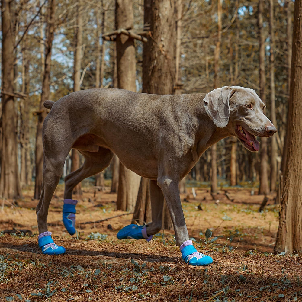 SGSPET dog shoes advanced elastic upper provides secure, flexible outdoor wear