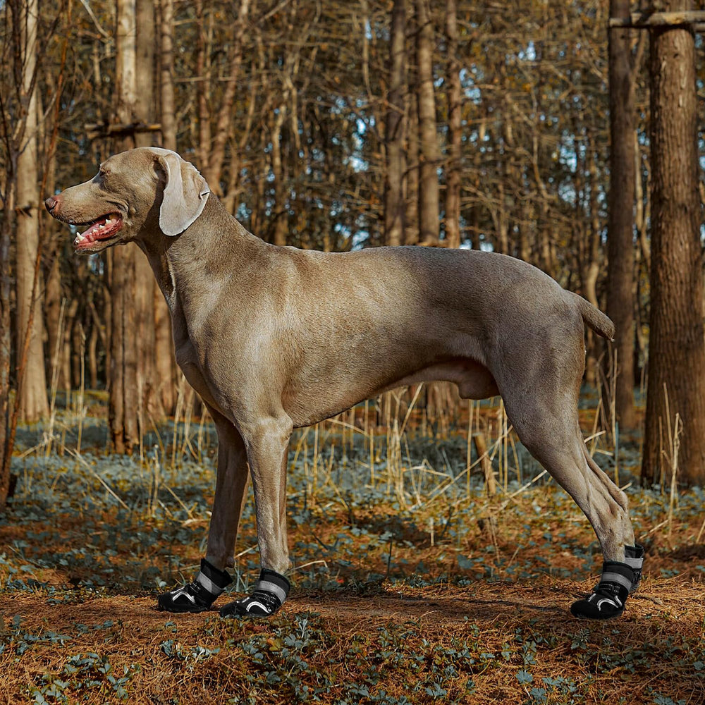 SGSPET dog shoes anti-slip soles provide traction on slick floors