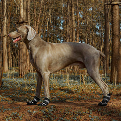 SGSPET dog shoes anti-slip soles provide traction on slick floors