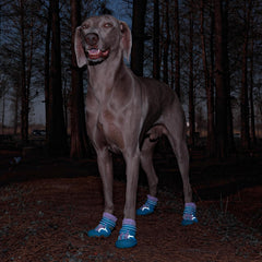 SGSPET dog shoes blue anti-slip sole provides traction on wet surfaces