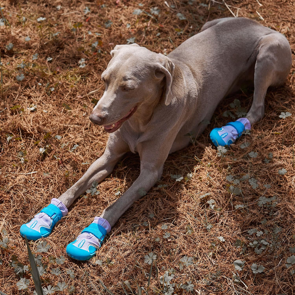 SGSPET dog shoes blue reflective strips boost visibility during night walks