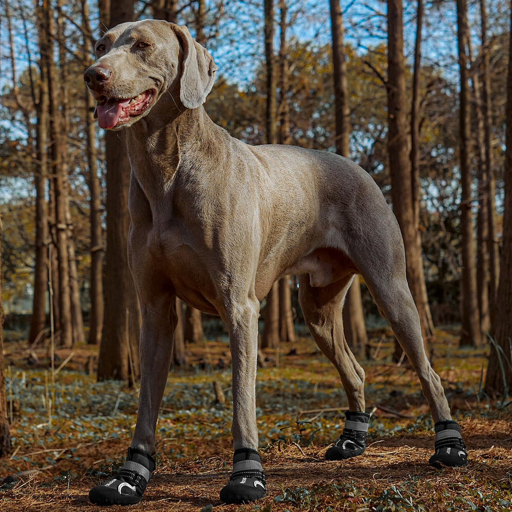 SGSPET dog shoes waterproof boot side view shows rugged exterior protection