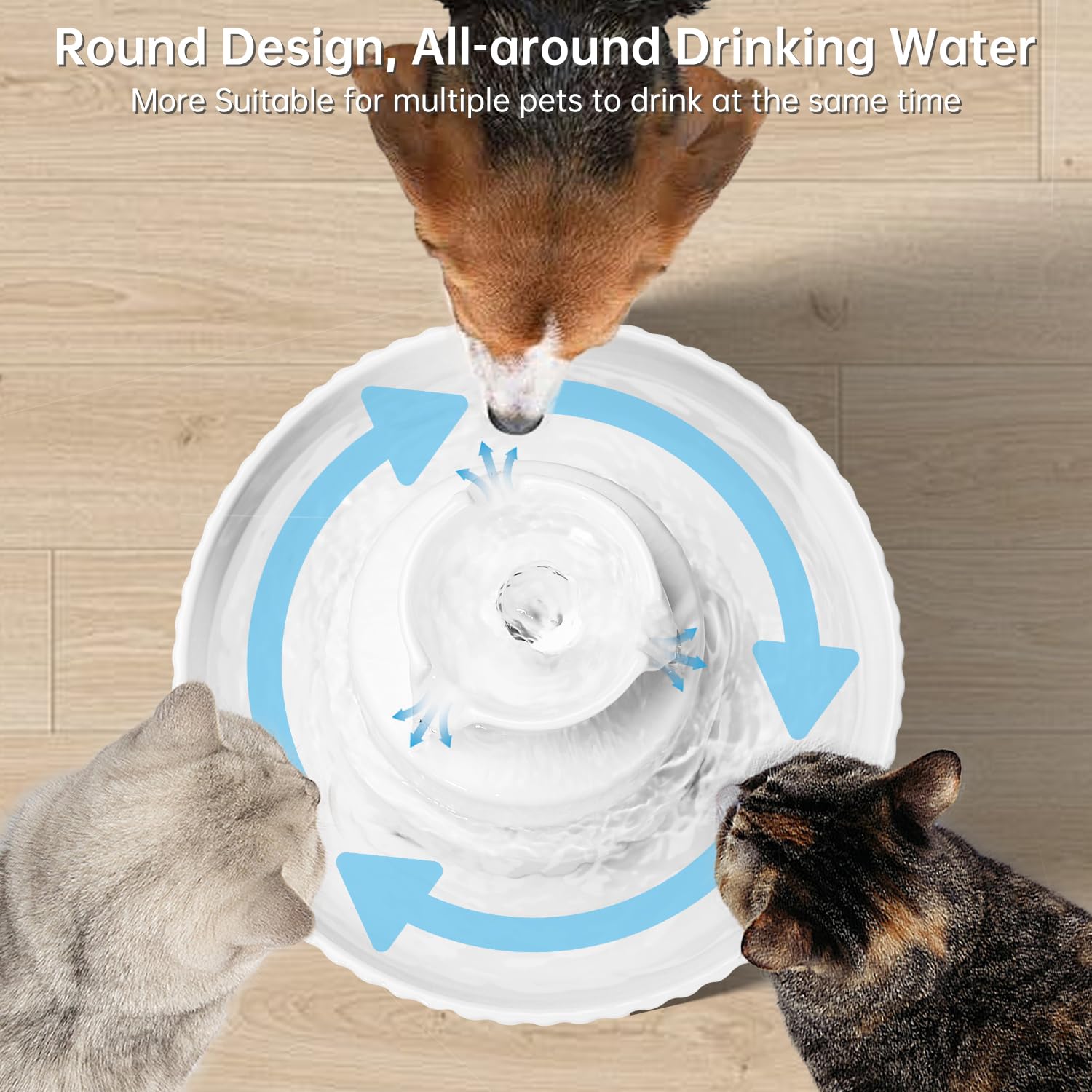 SgurFin 360-degree drinking area invites cats from any side to hydrate.