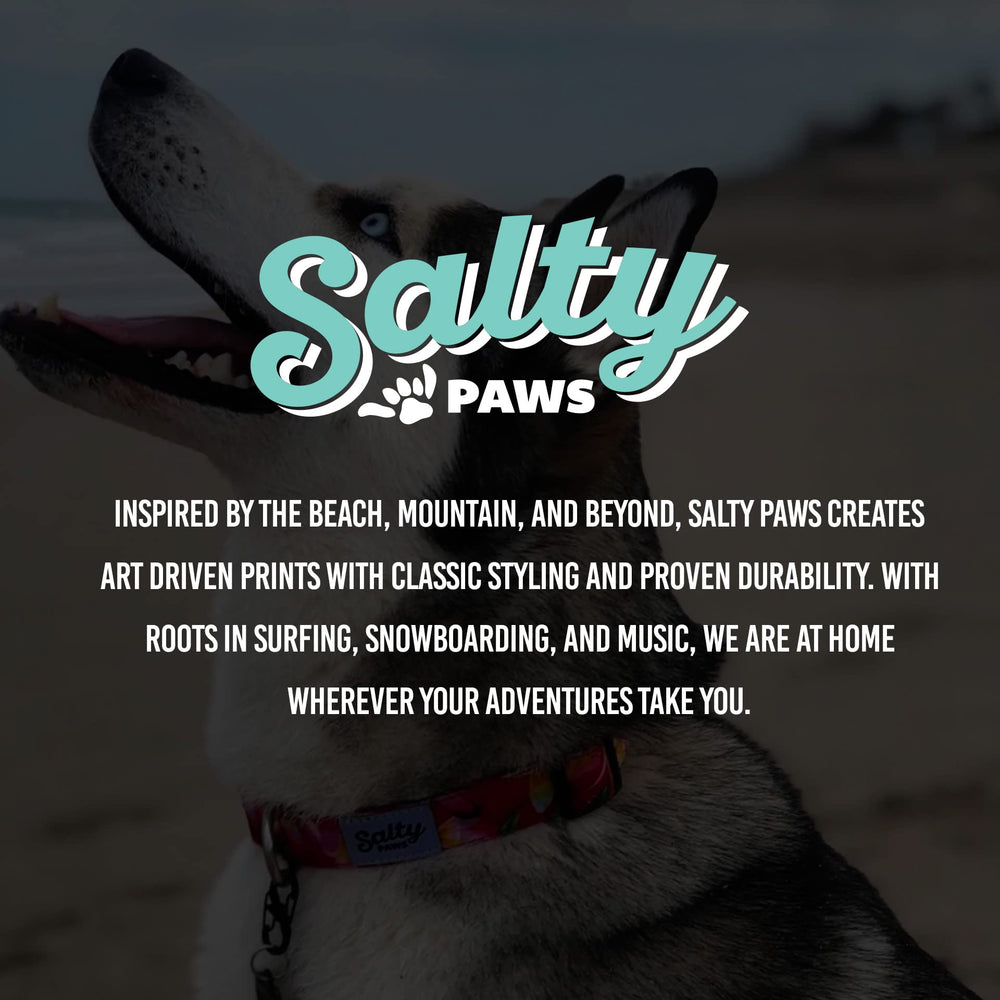 Shaka's Salty Paws large-18-26-inch collar covers bigger dogs for sturdy walks.