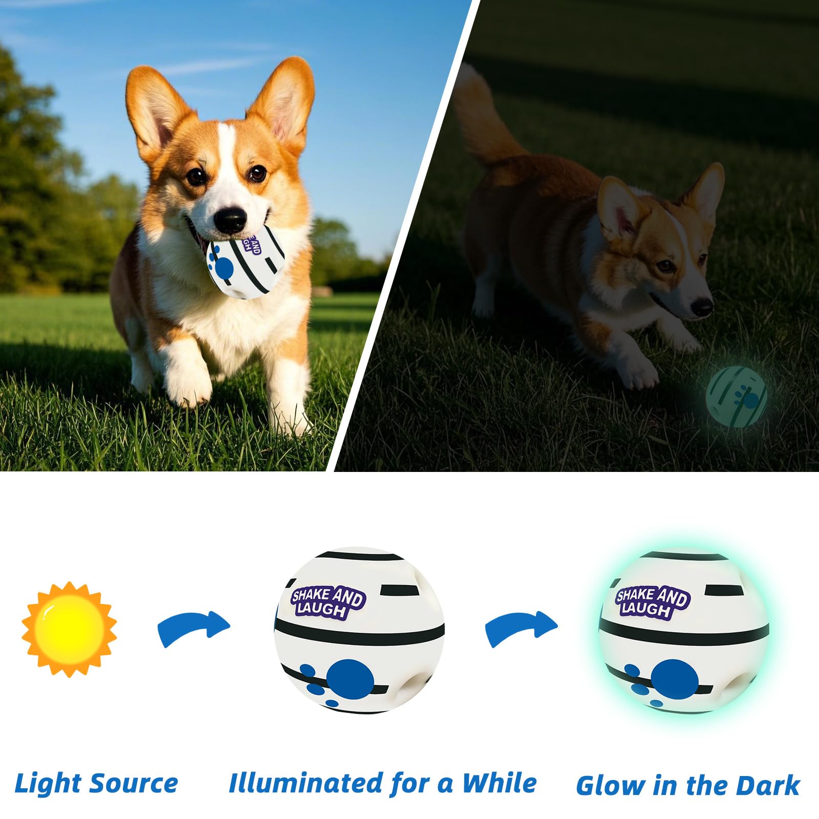 SHAKE AND LAUGH glow ball bite resistance supports durable play