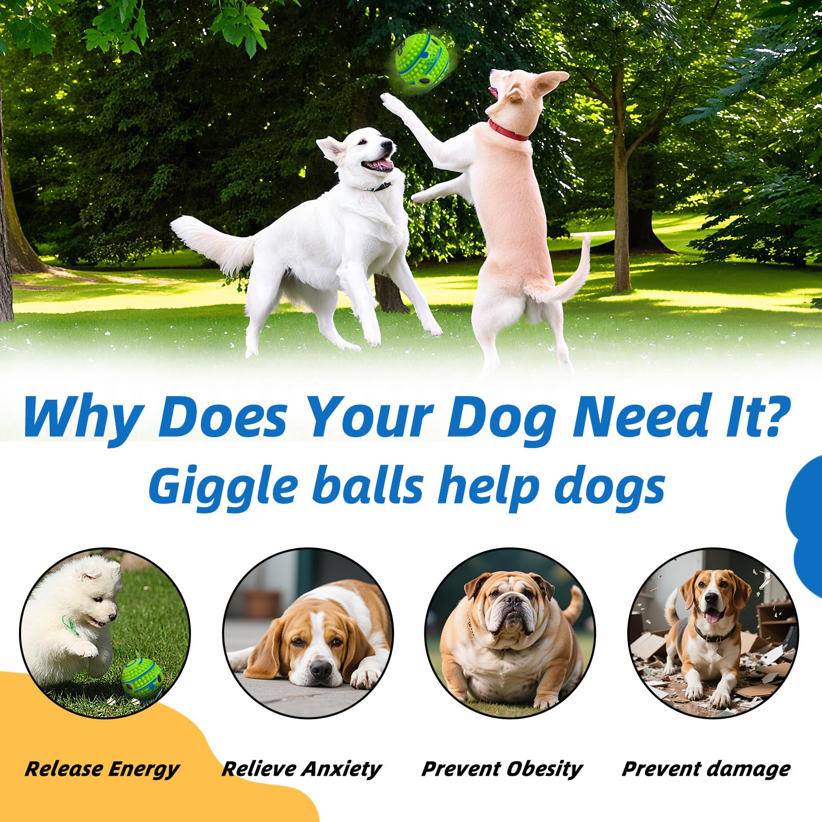SHAKE AND LAUGH spiky ball training play supports interactive herding and focus tasks.