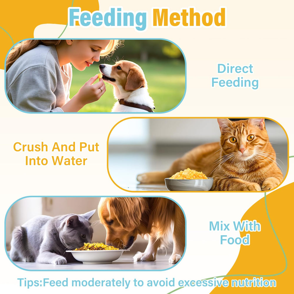 SHANDR cat enjoys quail egg yolk treat, a grain-free single-ingredient option.
