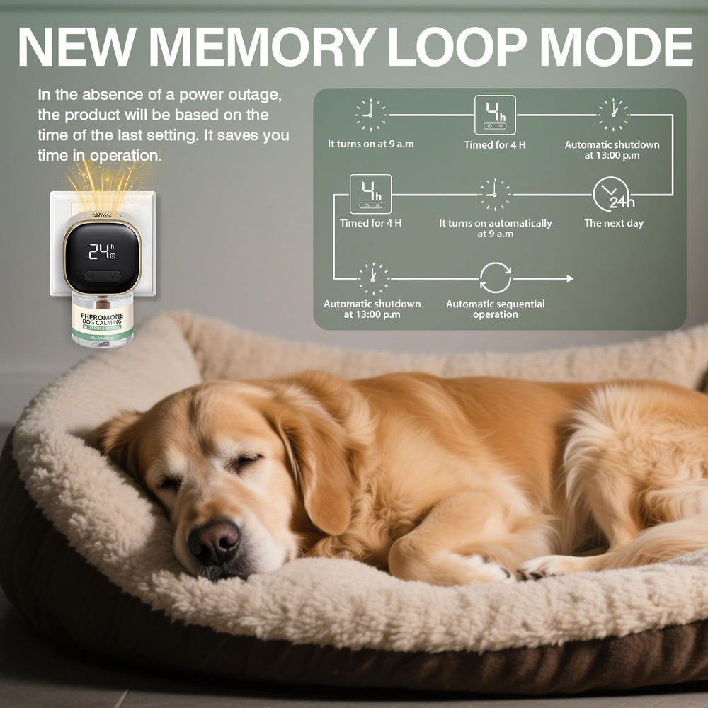 SHANDR dog calming diffuser plug-in reduces anxiety in pets.