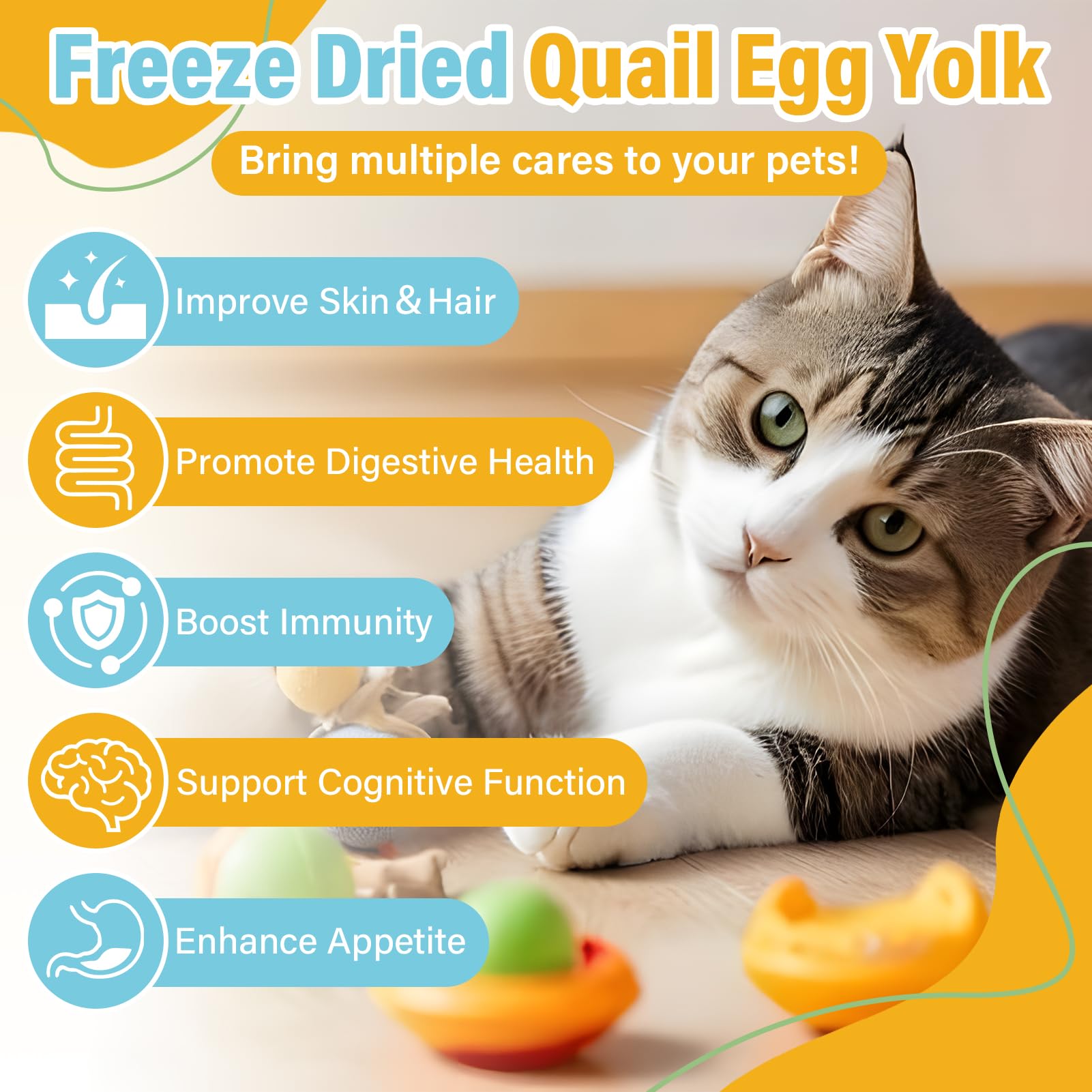 SHANDR freeze dried quail egg yolk close-up emphasizes protein-rich yolk and preserved flavor.
